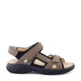 GANTER Giovanni taupe