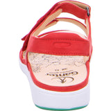GANTER Gina rot